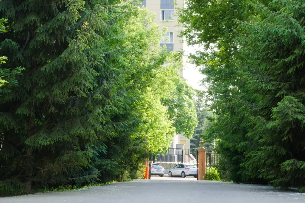 Москва: Hotel Novichok v Lefortovo