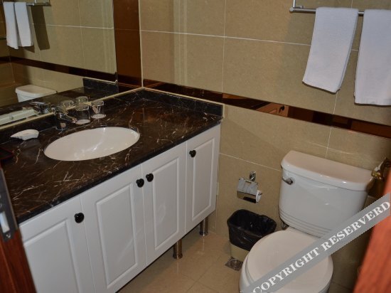 Шанхай: Great Shanghai International Garden Service Apartment