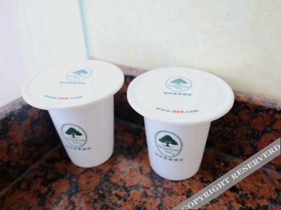 Цзиндэчжэнь: GreenTree Inn Jingdezhen Shuguang Road Antique Market Hotel