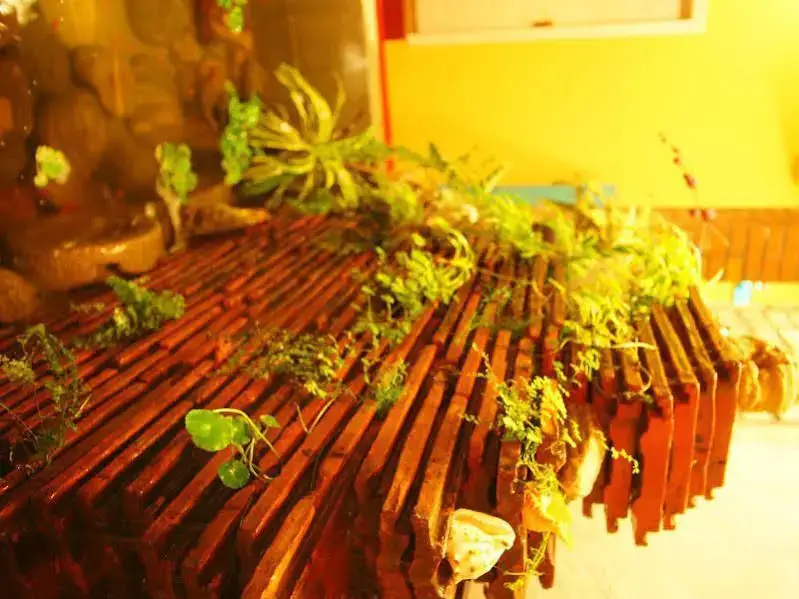 Сямынь: Gulangyu Mild Warm Inn