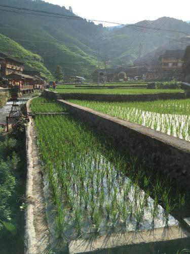 Longsheng: Guilin Longsheng Wisdom Inn