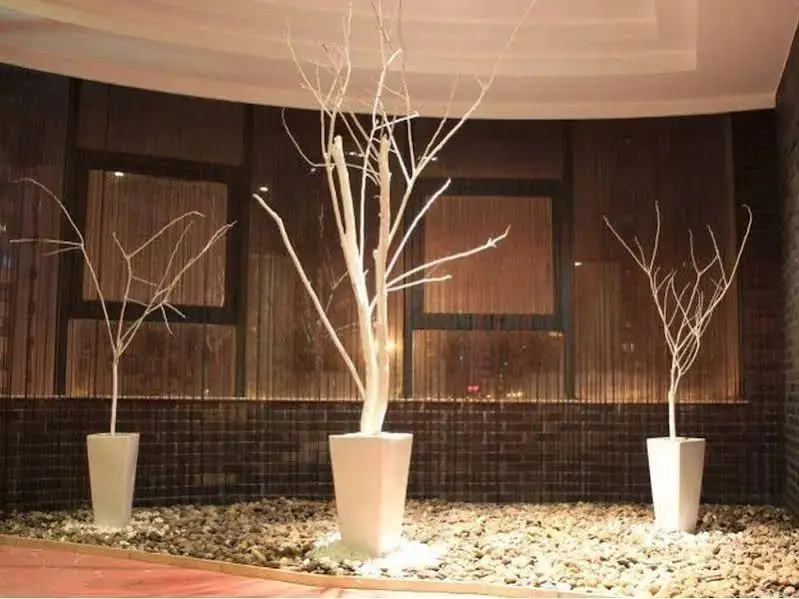 Шанхай: Baolong Homelike Hotel (Shanghai Xuhui)