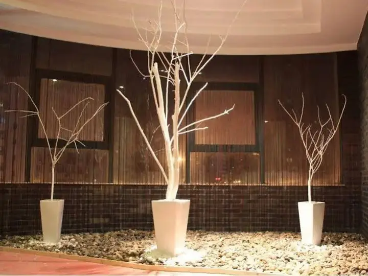 Шанхай: Baolong Homelike Hotel (Shanghai Xuhui)