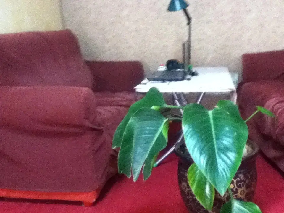 Чжэнчжоу: Zhengzhou Mi Xi Xi Bi Hostel