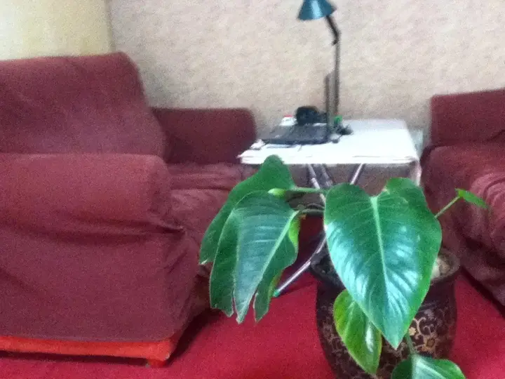 Чжэнчжоу: Zhengzhou Mi Xi Xi Bi Hostel