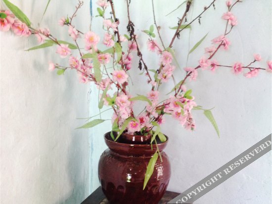 Шанхай: Zhouzhuang Hills International Youth Hostel