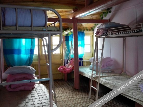Шанхай: Zhouzhuang Hills International Youth Hostel