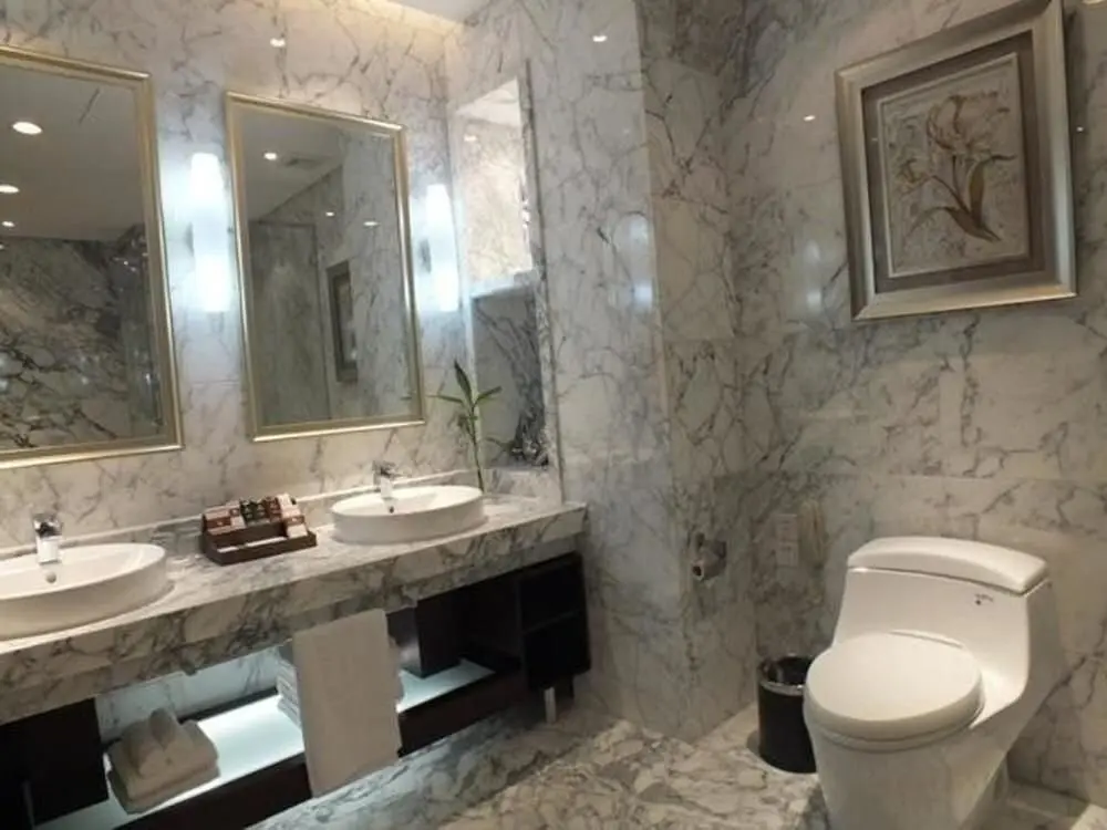 Чжанцзякоу: World Lidu Business Hotel