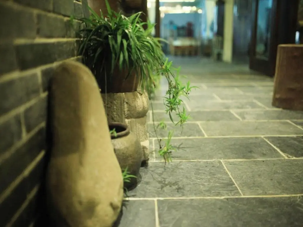 Чжанцзяцзе: Zhangjiajie Yuandi Xiangxi Theme Holiday Hostel