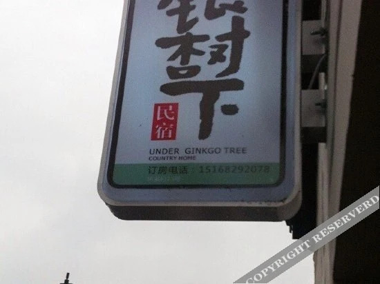 Ханчжоу: Hangzhou Tonglu Under Ginkgo Hostel