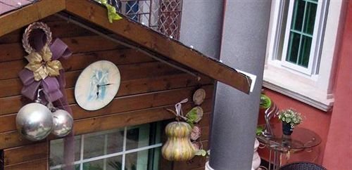Сямынь: Meiri Sunshine Hostel - Xiamen
