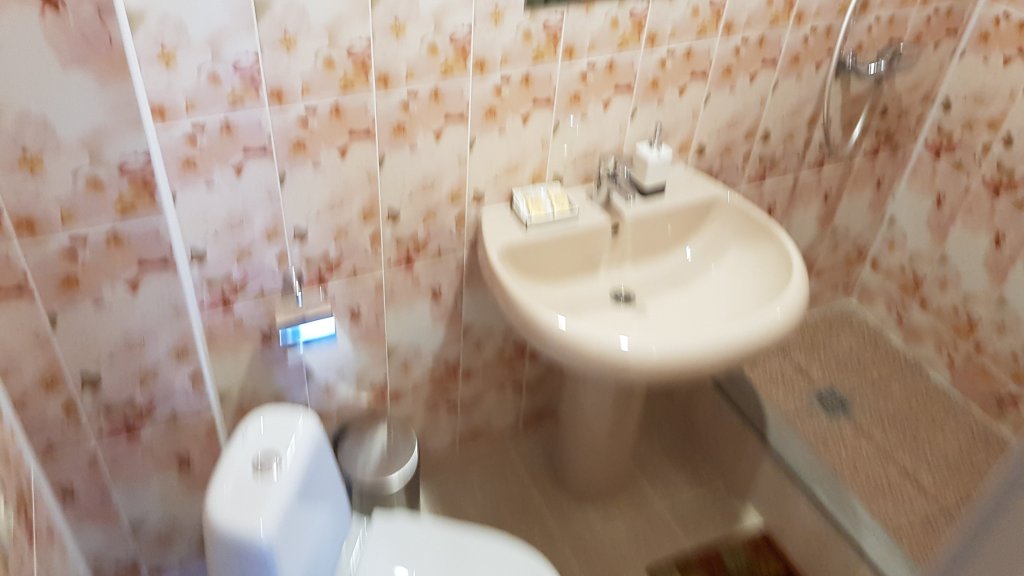 Внуково: Гостевой дом Виат VKO