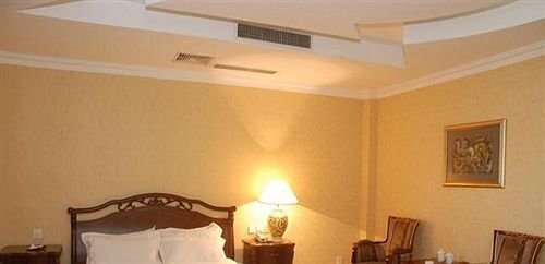 Фусинь: Lin Fuxin International Hotel