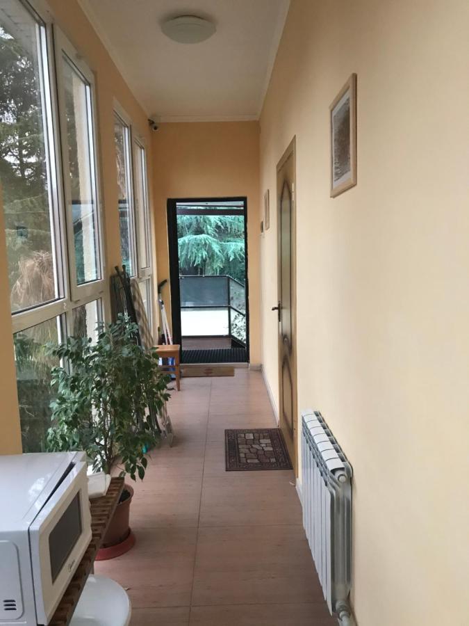 Сочи: Guest House Lyubimy