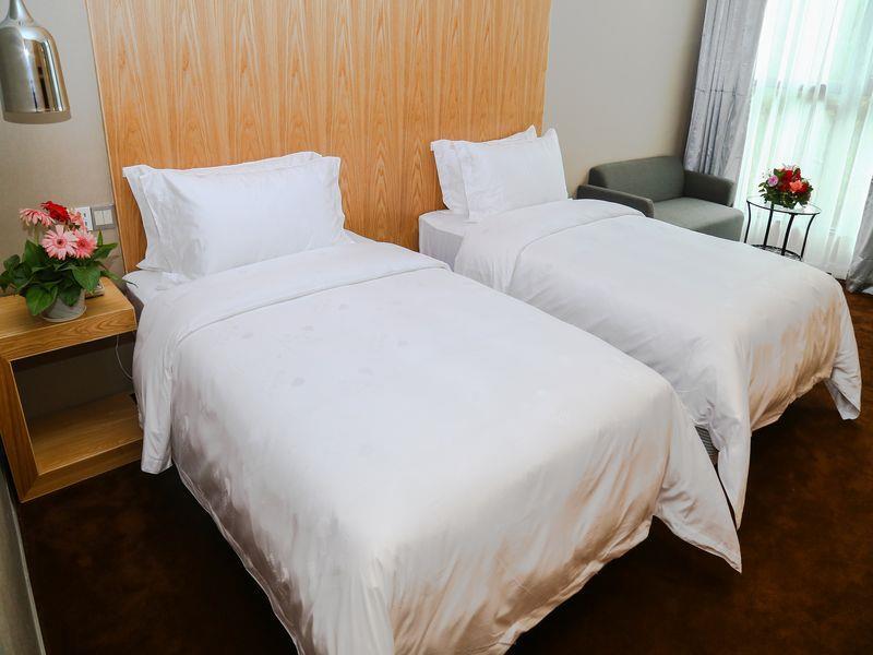 Шэньчжэнь: The Art Hotel Cai Tian Branch