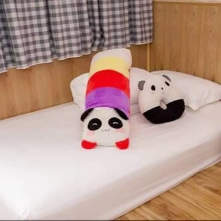 Чэнду: Panda Prince Hotel