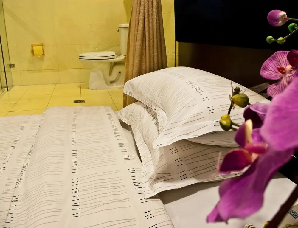 Уси: Wuxi Ikea Business Hotel
