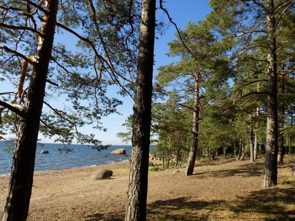 Приморск: Бьёрке Зунд
