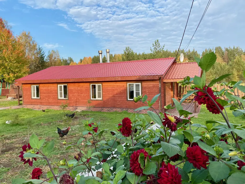 Быково: База отдыха Эко Хутор Рай Сяля