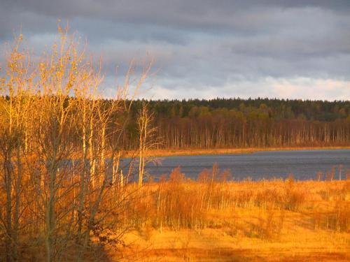Плодовое: Holiday Home Dom Na Holme