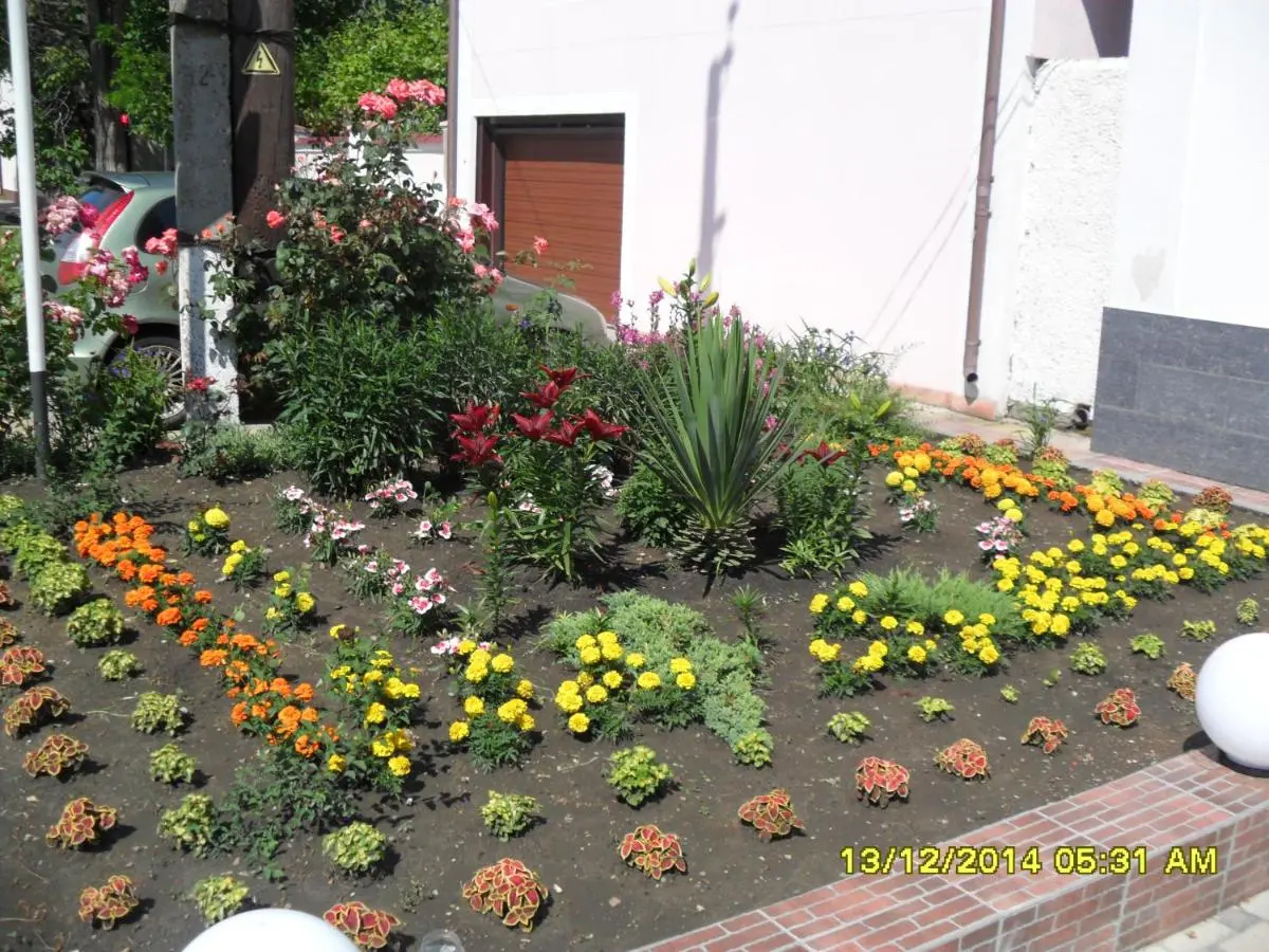 Анапа: Guest House Kiparis