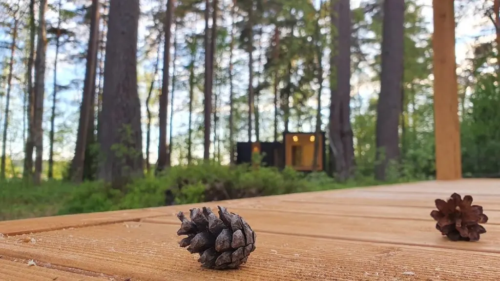 Лосево: Kottila Village (Коттила)