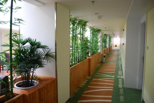 Наньтун: Shang Ke You Jiangsu Nantong Rudong
