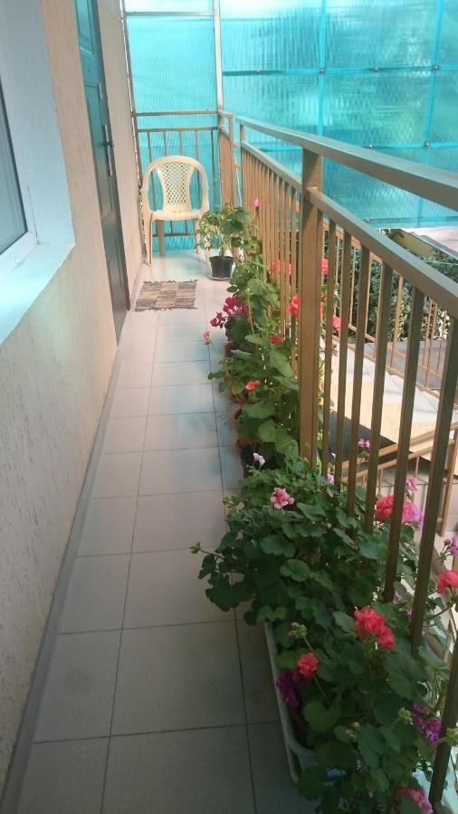 Сочи: Guest house U Niny