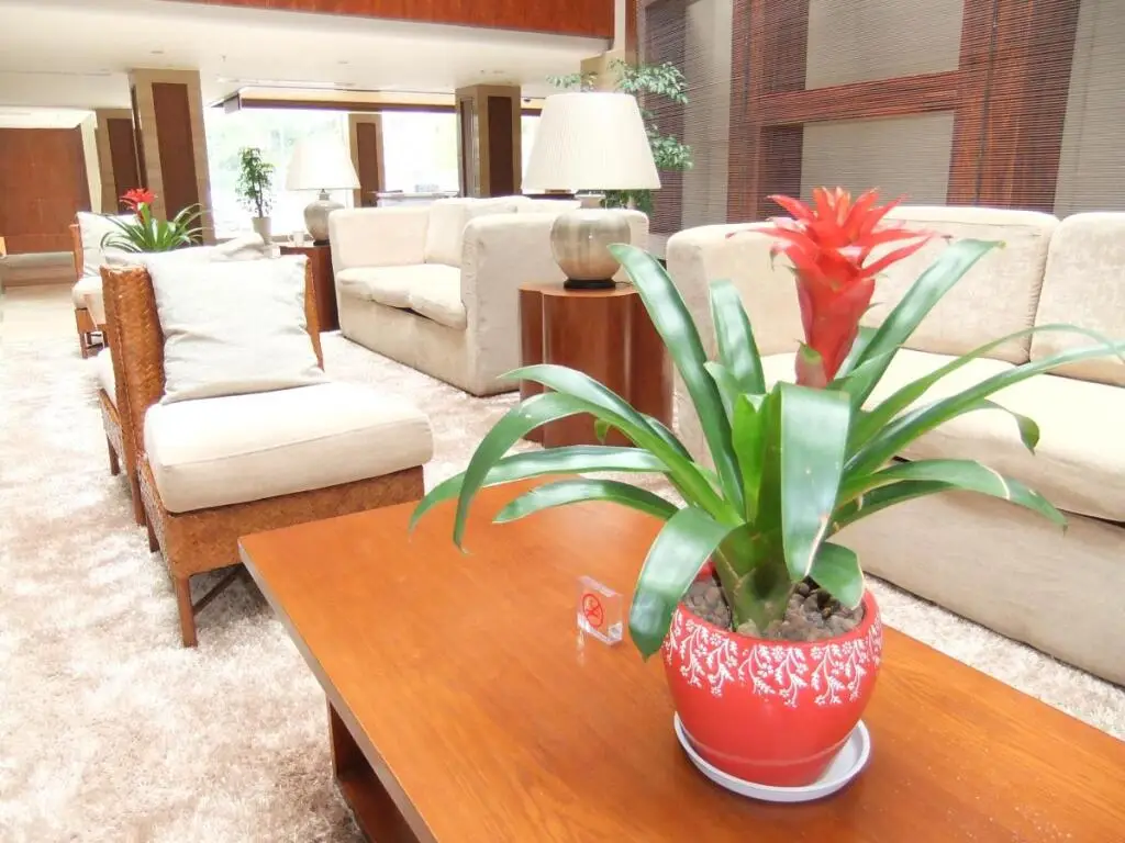 Сямынь: Titan Paradise Xiamen Hotel