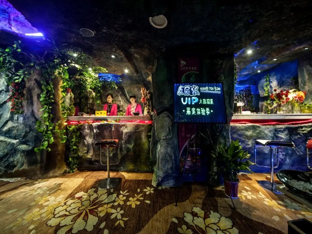 Ухань: Wuhan Nine-Tailed Fox Art Hotel