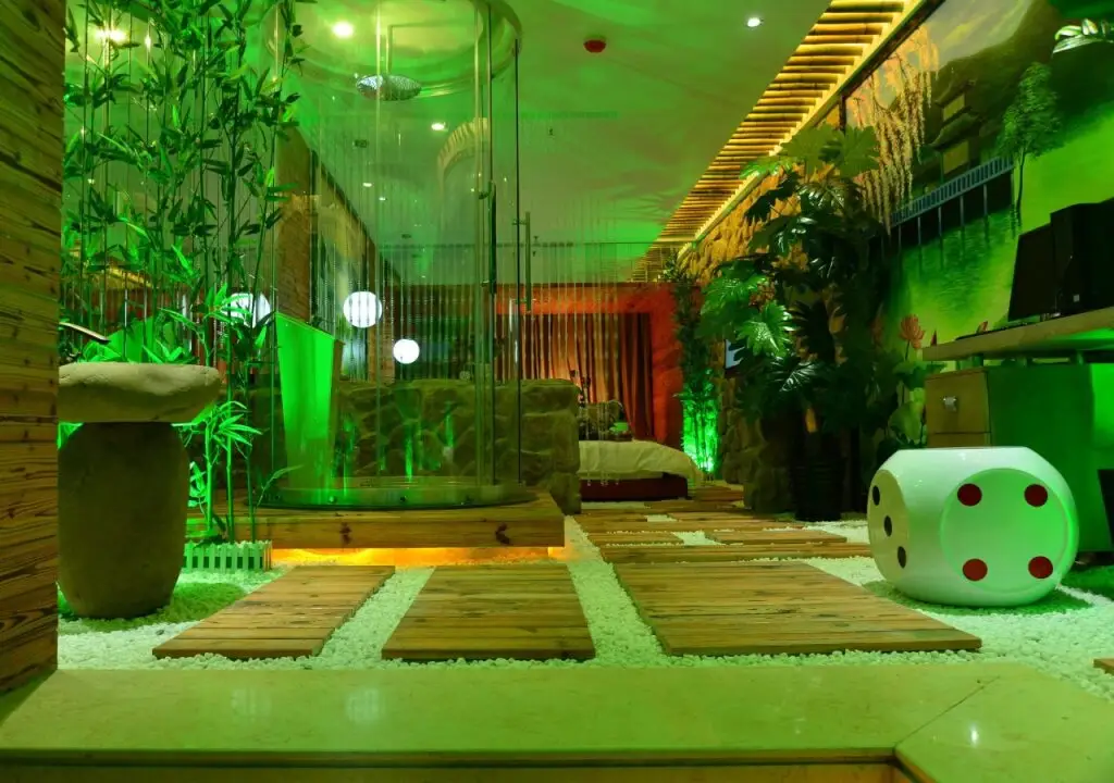 Ухань: Wuhan Nine-Tailed Fox Art Hotel