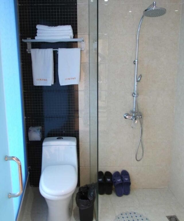 Чунцин: Chongqing Sheshe City Hotel