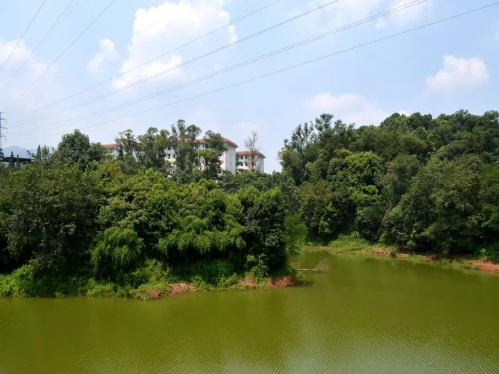 Лешан: Phoenix Lake Impression Emei Hotel