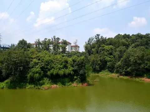Phoenix Lake Impression Emei Hotel — фото 1