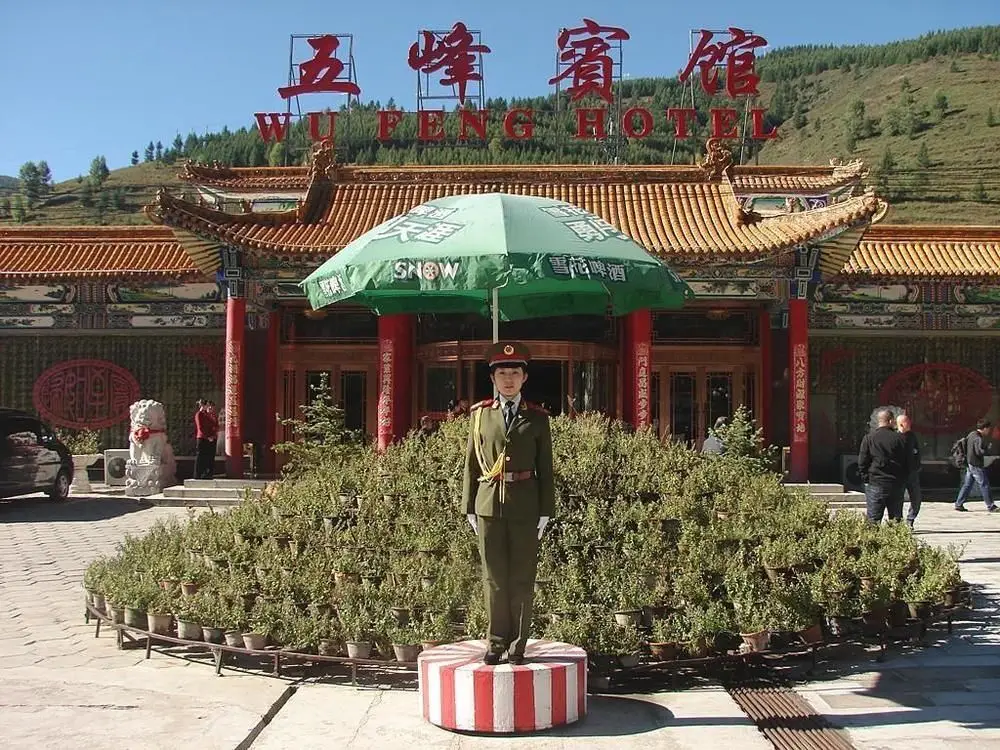 Wutaishan Wufeng Hotel — фото 1