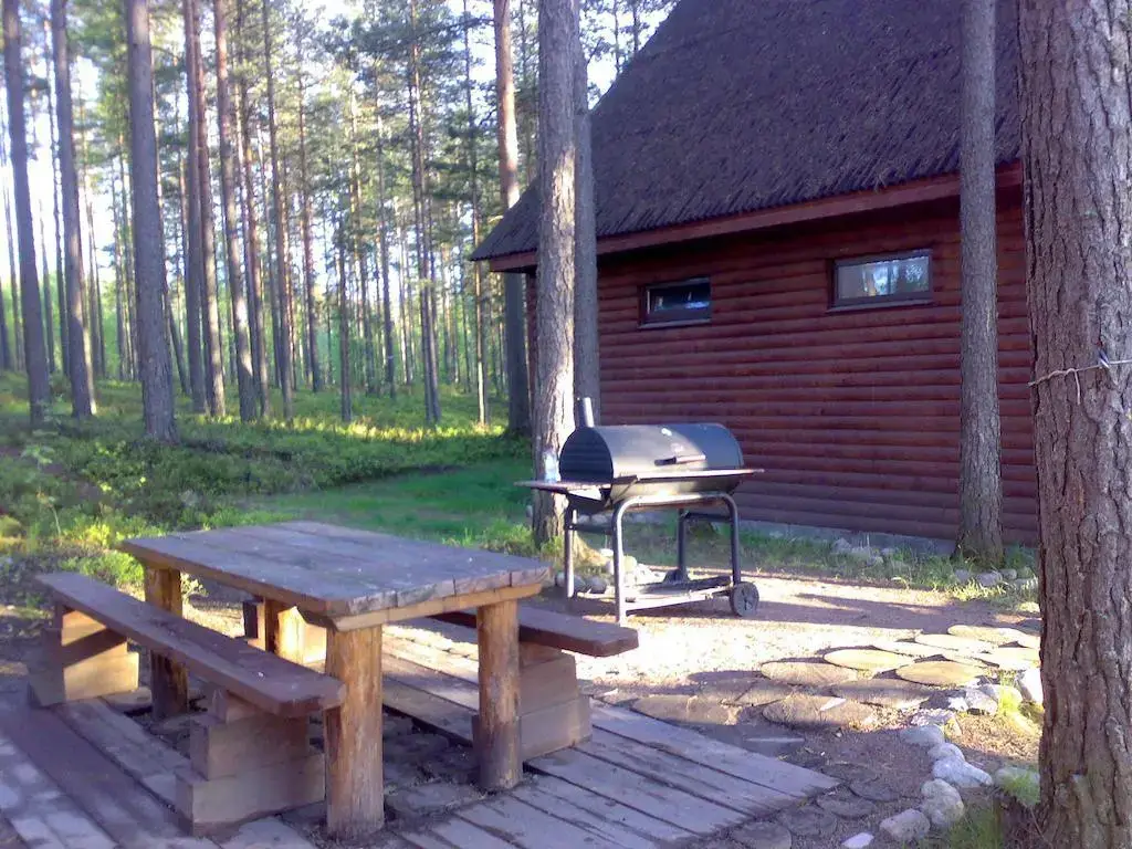 Комарово: Wigwam Motel