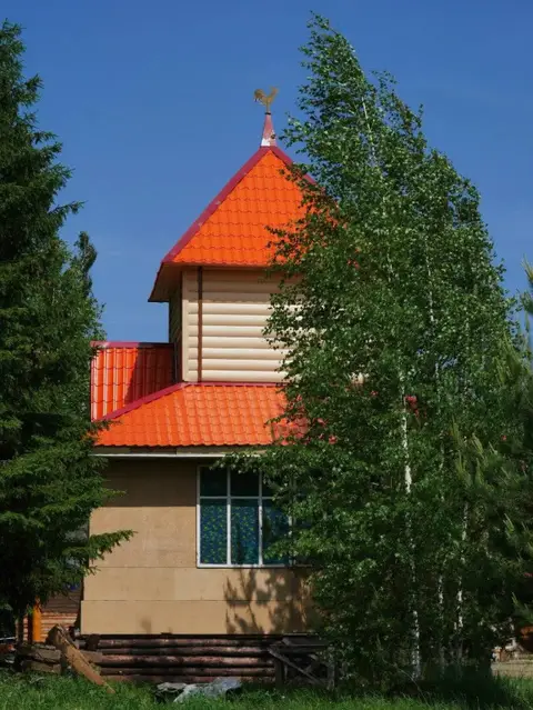 Живица — фото 1