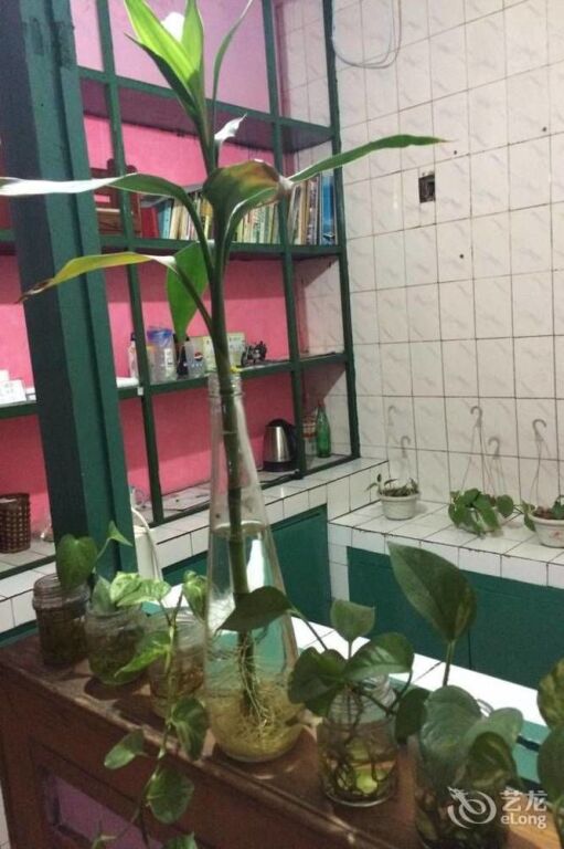 Тяньцзинь: Tianjin Qianyu Youth Hostel