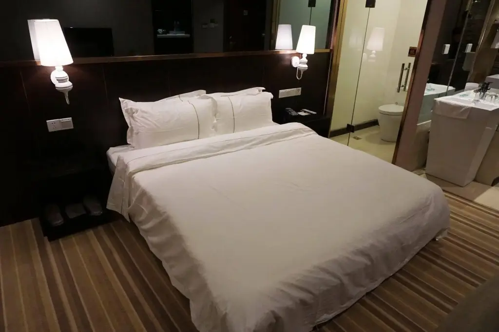 Нанкин: Nanjing Zhiminzhuang Theme Hotel