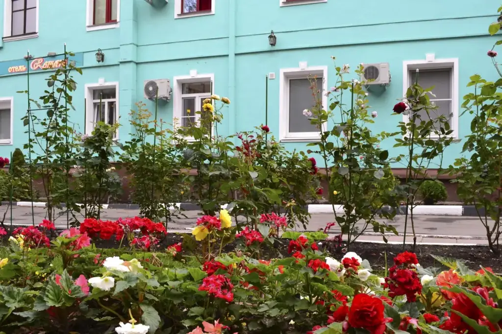 Москва: Романи