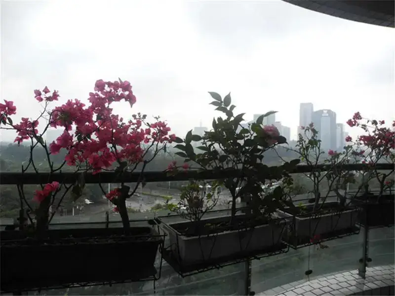 Шэньчжэнь: Shenzhen Leyi Family Apartment