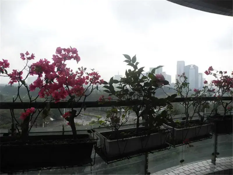 Шэньчжэнь: Shenzhen Leyi Family Apartment