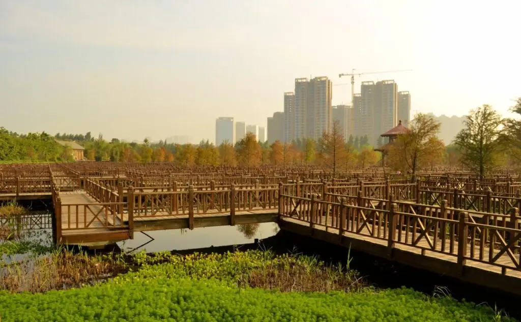 Сямынь: Xiamen Home of Seashell Youth Hostel