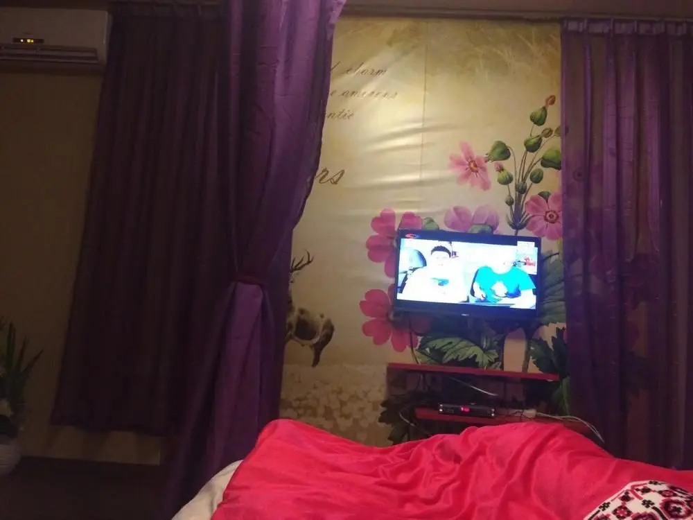 Чэнду: Chengdu Aijiwu Theme Apartment