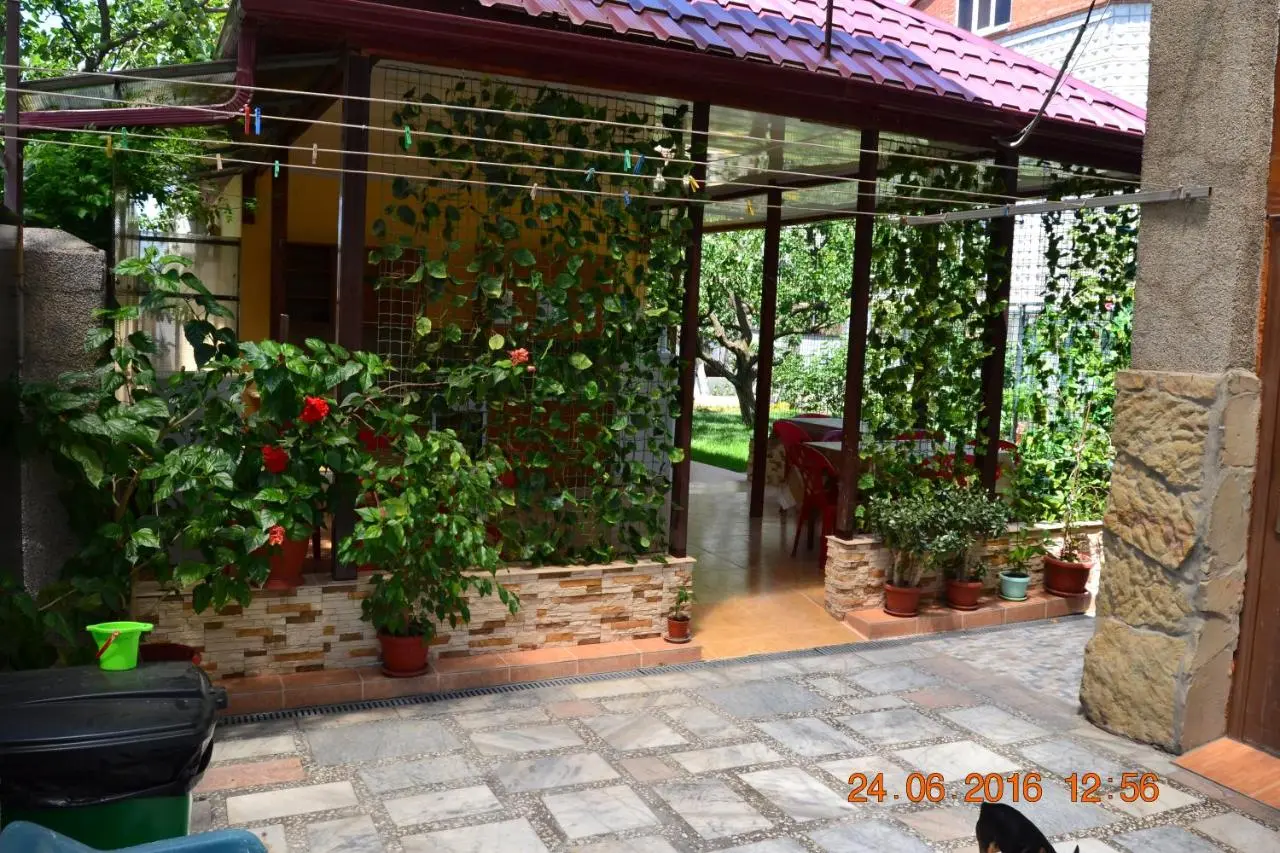 Геленджик: Alla Guesthouse