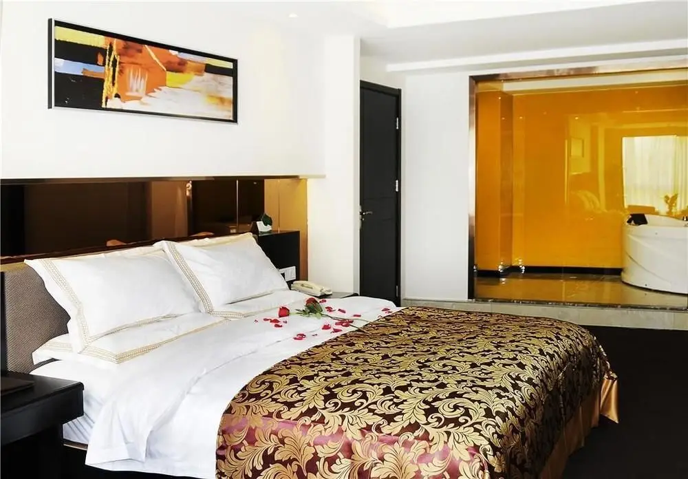 Сиань: Sancana Holiday Inn