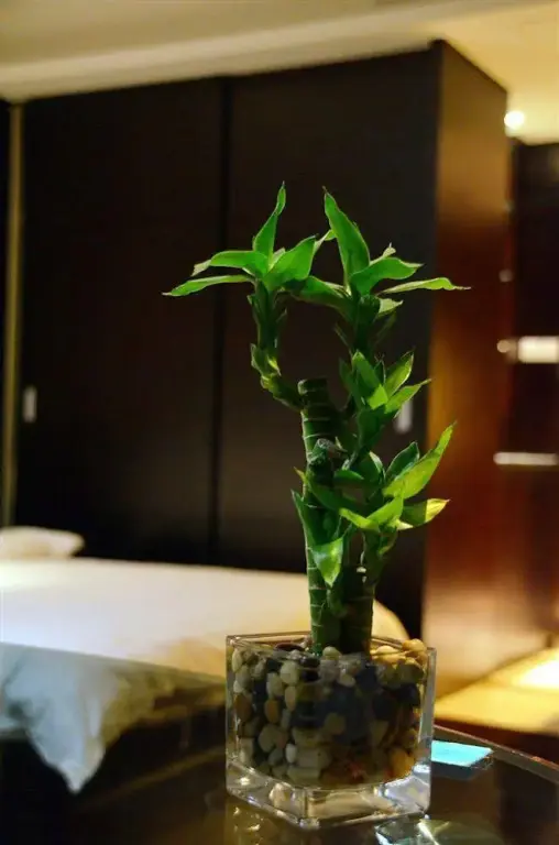 Ханчжоу: CQ Apartment Xingguang Branch
