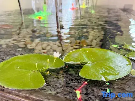 Ухань: Xin A Dan Yuan Optics Valley International Hotel