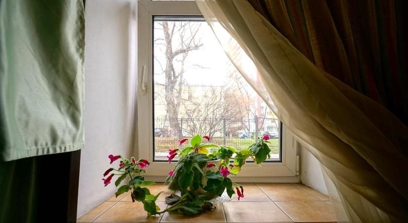 Москва: SvetLend Hostel