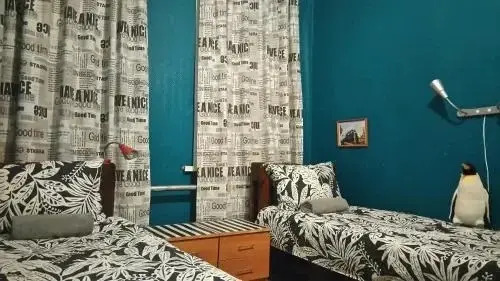Москва: Trans Siberian Hostel